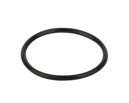 Уплотнительное кольцо Emaux 1,5" (02020013)