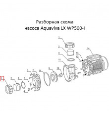 Гайка сполучної муфти насоса Aquaviva LX WP500-I