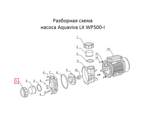 Гайка сполучної муфти насоса Aquaviva LX WP500-I