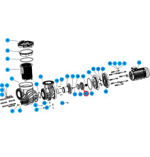 Крыльчатка насоса SEQ\WEQ500, SLP500T\WLP500T, (A03070180 №21)