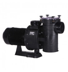 Насос Hayward HCP38303E1 KAP300 T1.B IE3 (380 В, 48 м³/год, 3 HP)