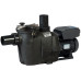 Обладнання для басейну Насос Hayward RS II RS3016VSTD (220В, 19.5 м3/год, 1.5HP), зі зміною швидкості